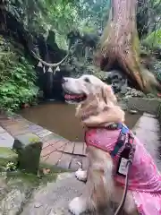 目の霊山　油山寺の動物