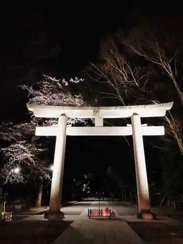 大國魂神社の鳥居