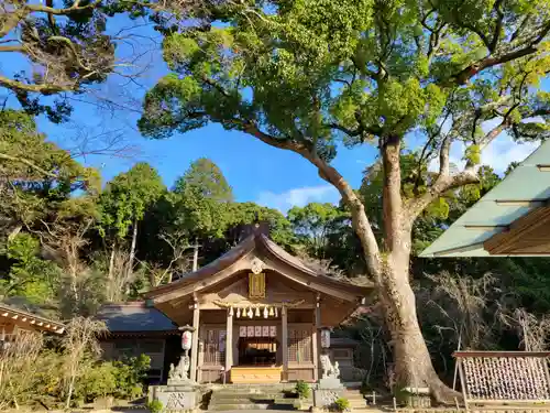 宝満宮竈門神社の本殿