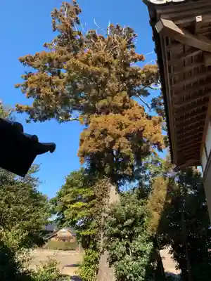 水婆神社(千葉県)