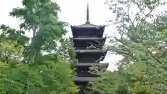 仁和寺の塔