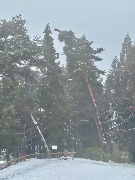 蚊里田八幡宮の{uncategorized: "未分類", other: "その他", undefined: "問題あり", building: "その他建物", grave: "お墓", sacred_gate: "鳥居", guardian: "狛犬", statue: "像", buddha: "仏像", history: "歴史", nature: "自然", garden: "庭園", animal: "動物", pagoda: "塔", temizu: "手水舎", mountain_gate: "山門・神門", sanctuary: "本殿・本堂", subordinate: "末社・摂社", art: "芸術", scenery: "景色", jizo: "地蔵", ema: "絵馬", goshuin: "御朱印", omikuji: "おみくじ", items: "授与品その他", amulet: "お守り", goshuincho: "御朱印帳", eats: "食事", festival: "お祭り", votive_dance: "神楽", shichigosan: "七五三参", wedding: "結婚式", experience: "体験その他", initially: "初詣", around: "周辺", anti_infection: "感染症対策"}