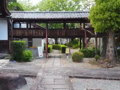 阿弥陀寺(京都府)