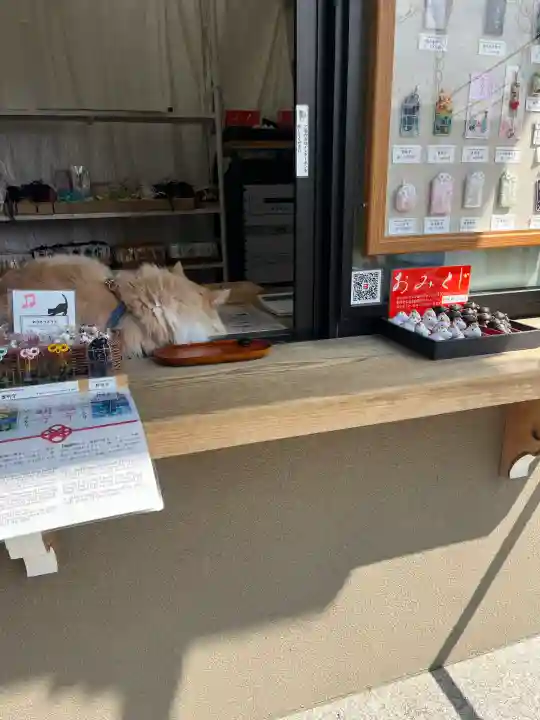 妙義神社の{uncategorized: "未分類", other: "その他", undefined: "問題あり", building: "その他建物", grave: "お墓", sacred_gate: "鳥居", guardian: "狛犬", statue: "像", buddha: "仏像", history: "歴史", nature: "自然", garden: "庭園", animal: "動物", pagoda: "塔", temizu: "手水舎", mountain_gate: "山門・神門", sanctuary: "本殿・本堂", subordinate: "末社・摂社", art: "芸術", scenery: "景色", jizo: "地蔵", ema: "絵馬", goshuin: "御朱印", omikuji: "おみくじ", items: "授与品その他", amulet: "お守り", goshuincho: "御朱印帳", eats: "食事", festival: "お祭り", votive_dance: "神楽", shichigosan: "七五三参", wedding: "結婚式", experience: "体験その他", initially: "初詣", around: "周辺", anti_infection: "感染症対策"}