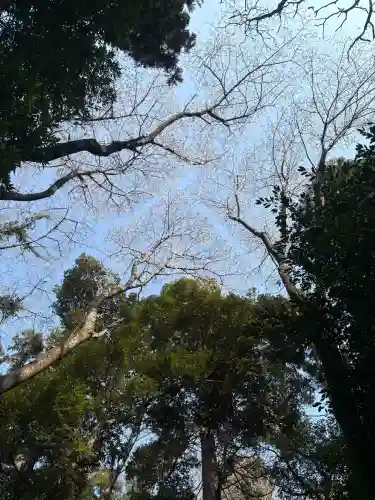 神明神社の{uncategorized: "未分類", other: "その他", undefined: "問題あり", building: "その他建物", grave: "お墓", sacred_gate: "鳥居", guardian: "狛犬", statue: "像", buddha: "仏像", history: "歴史", nature: "自然", garden: "庭園", animal: "動物", pagoda: "塔", temizu: "手水舎", mountain_gate: "山門・神門", sanctuary: "本殿・本堂", subordinate: "末社・摂社", art: "芸術", scenery: "景色", jizo: "地蔵", ema: "絵馬", goshuin: "御朱印", omikuji: "おみくじ", items: "授与品その他", amulet: "お守り", goshuincho: "御朱印帳", eats: "食事", festival: "お祭り", votive_dance: "神楽", shichigosan: "七五三参", wedding: "結婚式", experience: "体験その他", initially: "初詣", around: "周辺", anti_infection: "感染症対策"}