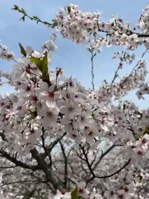 石鎚神社 口之宮 本社(愛媛県)