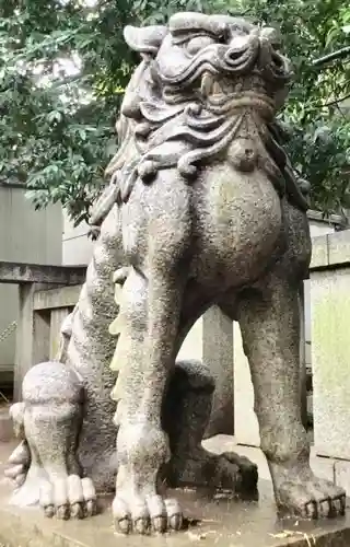 渋谷氷川神社の狛犬