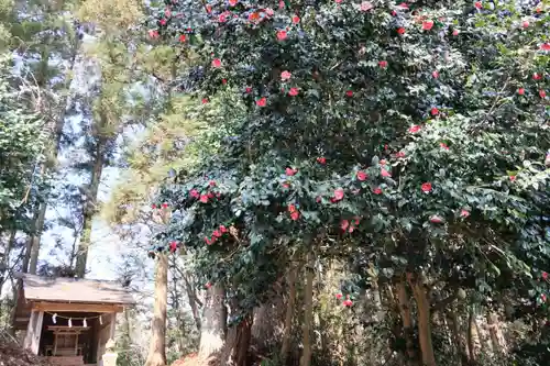鹿島大神宮の末社・摂社