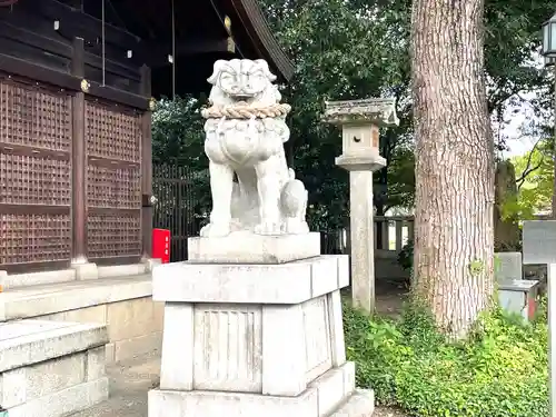 兵庫縣姫路護國神社の狛犬