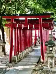 花園神社の鳥居