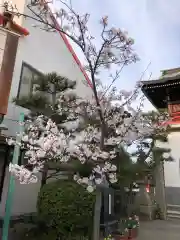 荒井神社の自然