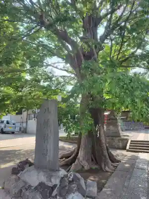 滝野川八幡神社(東京都)
