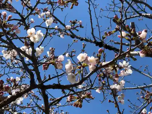 六所皇大神宮霊跡の自然
