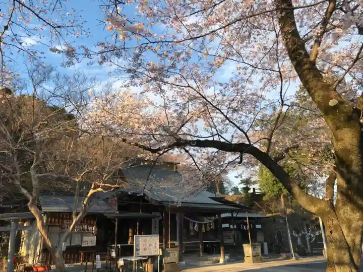 賀茂別雷神社のその他建物