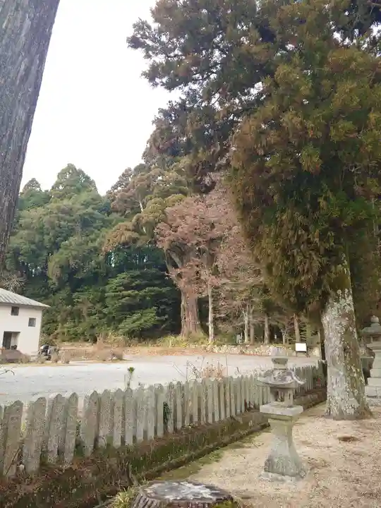 飛龍八幡宮(山口県)