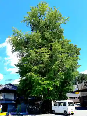 六所神社の自然