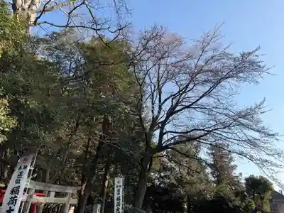 手力雄神社(岐阜県)