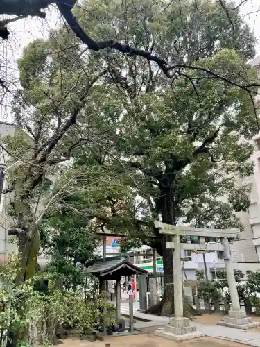 八幡神社の{uncategorized: "未分類", other: "その他", undefined: "問題あり", building: "その他建物", grave: "お墓", sacred_gate: "鳥居", guardian: "狛犬", statue: "像", buddha: "仏像", history: "歴史", nature: "自然", garden: "庭園", animal: "動物", pagoda: "塔", temizu: "手水舎", mountain_gate: "山門・神門", sanctuary: "本殿・本堂", subordinate: "末社・摂社", art: "芸術", scenery: "景色", jizo: "地蔵", ema: "絵馬", goshuin: "御朱印", omikuji: "おみくじ", items: "授与品その他", amulet: "お守り", goshuincho: "御朱印帳", eats: "食事", festival: "お祭り", votive_dance: "神楽", shichigosan: "七五三参", wedding: "結婚式", experience: "体験その他", initially: "初詣", around: "周辺", anti_infection: "感染症対策"}