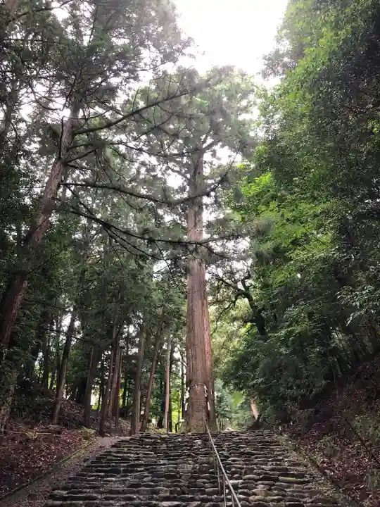 元伊勢内宮 皇大神社(京都府)