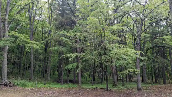 温根湯神社の自然
