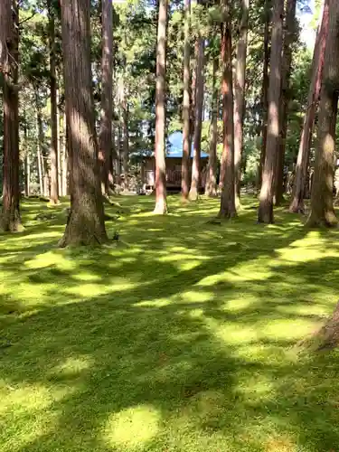 平泉寺白山神社の自然