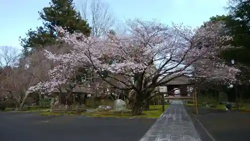 薬王院の景色