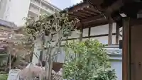 善福寺(京都府)