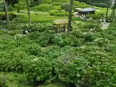 三室戸寺の庭園