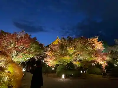 東寺（教王護国寺）(京都府)