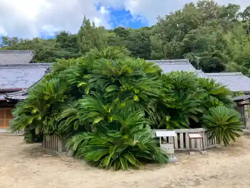 誓願寺(香川県)