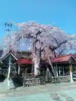 洞林寺(宮城県)