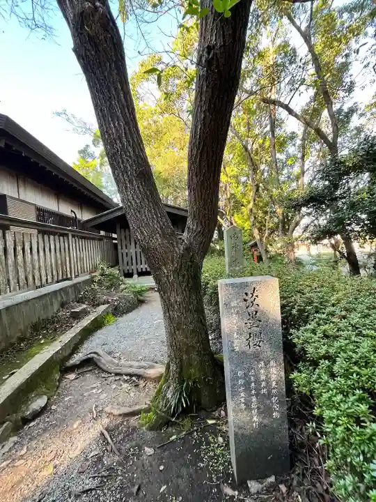 自凝島神社(兵庫県)