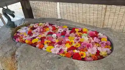 金井神社の手水舎