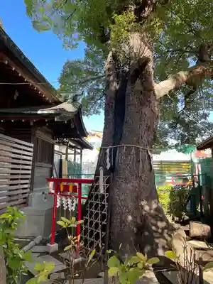五方山熊野神社のその他建物