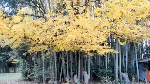 秀源寺(埼玉県)