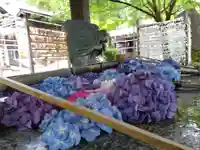 足羽神社(福井県)