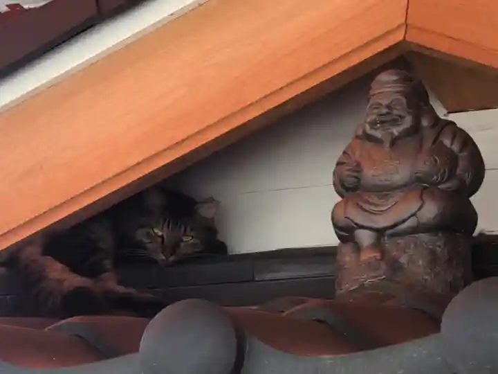 尼崎えびす神社の動物