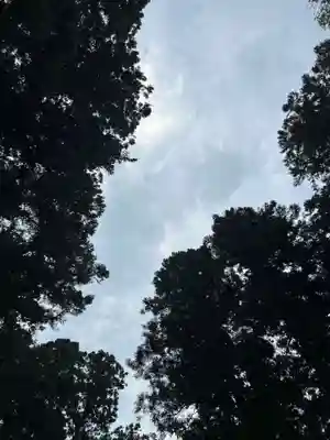 大宮温泉神社(栃木県)