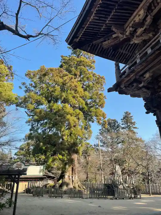 筑波山神社(茨城県)