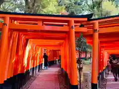 伏見稲荷大社の鳥居