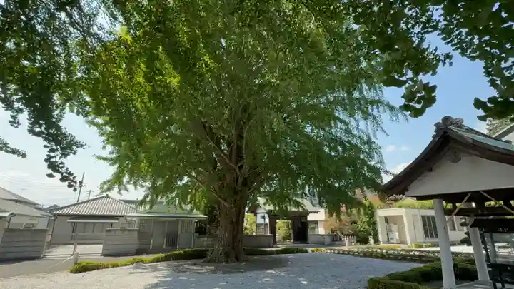 星谷寺(神奈川県)