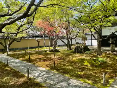 黄梅院の庭園