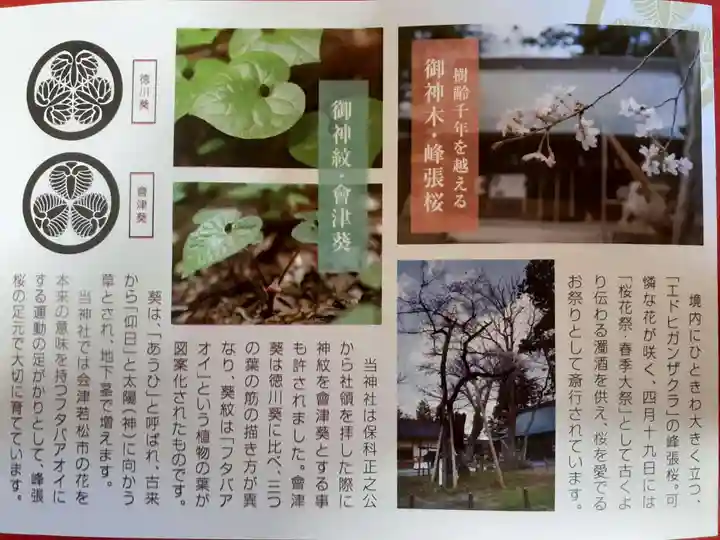 蠶養國神社の授与品その他