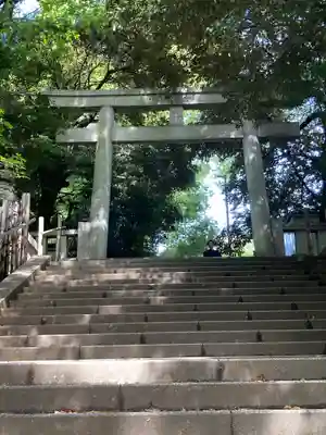 渋谷氷川神社(東京都)