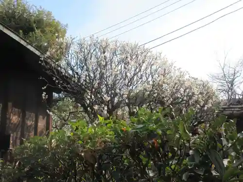 静勝寺(東京都)