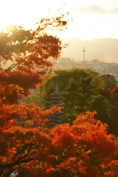 清水寺(京都府)