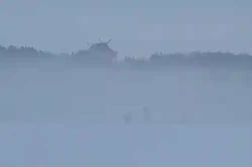 宝徳山稲荷大社(新潟県)