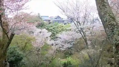 金峯山寺(奈良県)