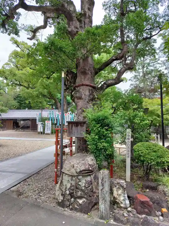 八事山 興正寺の自然