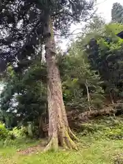 五社神社(兵庫県)